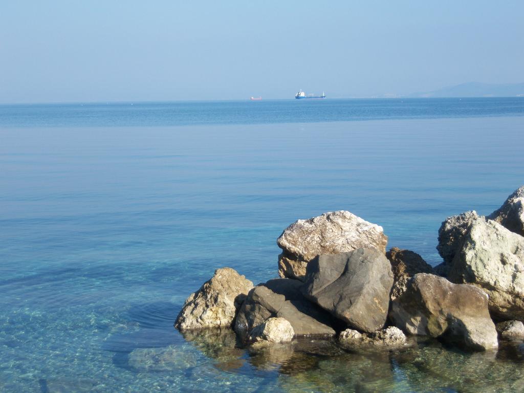 Anessis Cosmos Apart otel Anaxos Dış mekan fotoğraf
