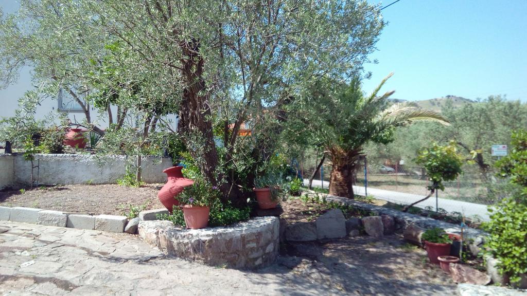 Anessis Cosmos Apart otel Anaxos Dış mekan fotoğraf