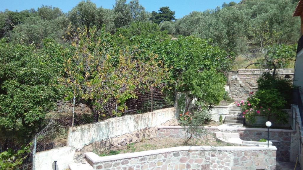 Anessis Cosmos Apart otel Anaxos Dış mekan fotoğraf