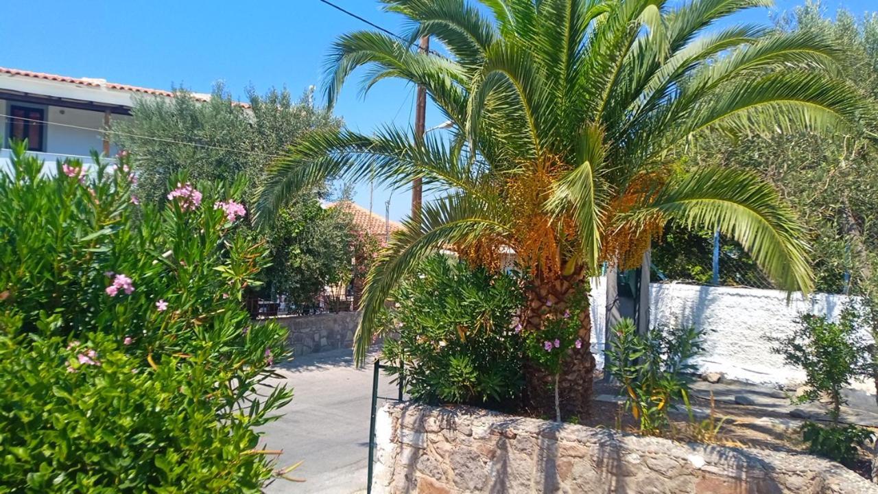 Anessis Cosmos Apart otel Anaxos Dış mekan fotoğraf