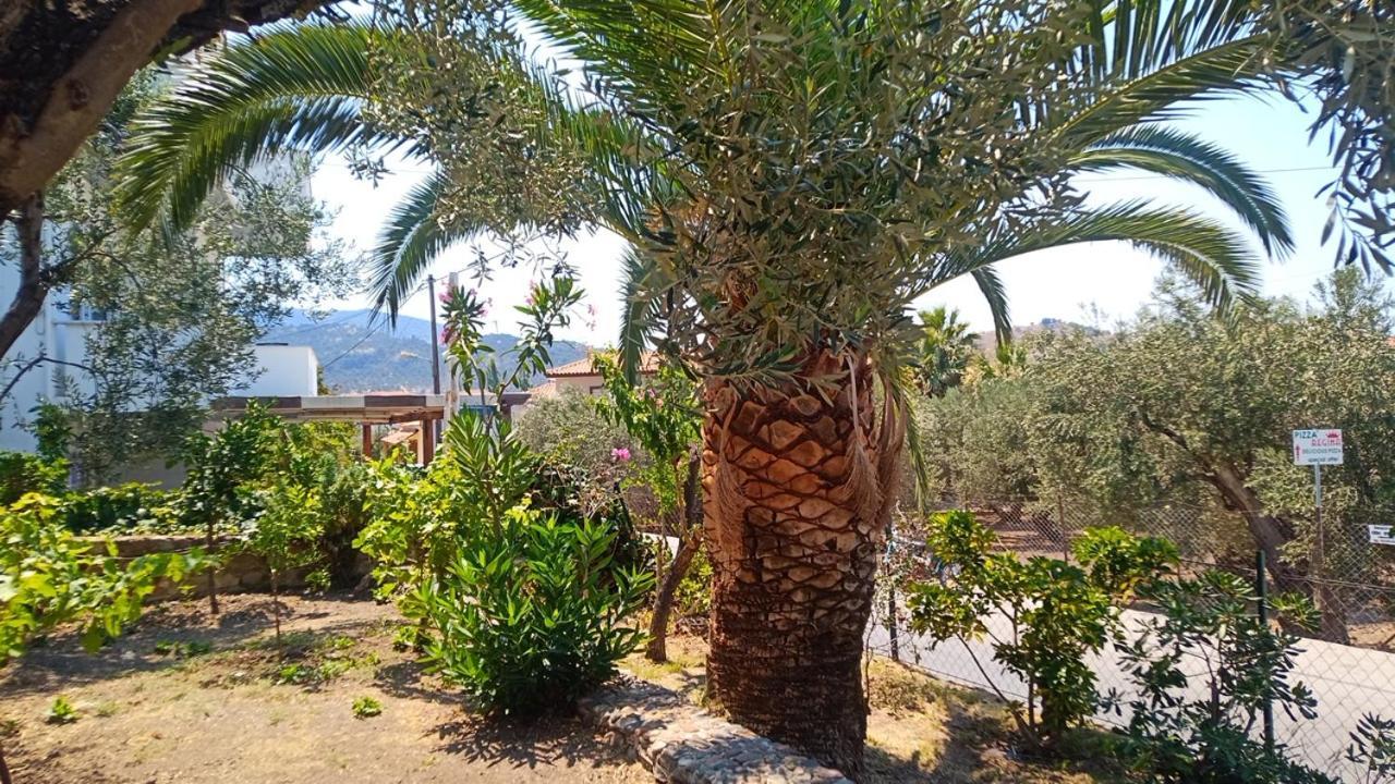 Anessis Cosmos Apart otel Anaxos Dış mekan fotoğraf