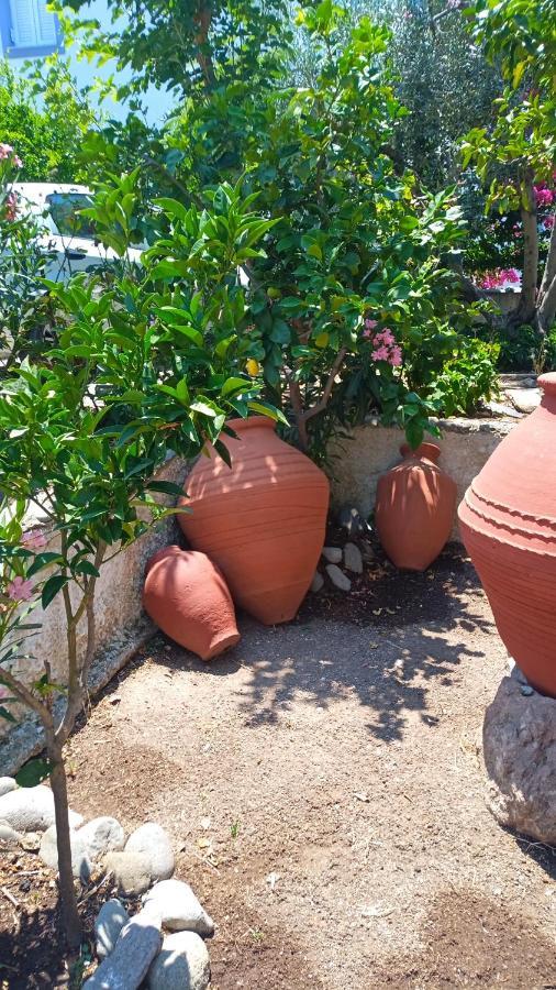 Anessis Cosmos Apart otel Anaxos Dış mekan fotoğraf