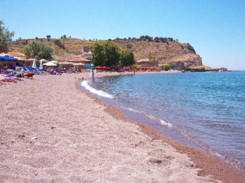 Anessis Cosmos Apart otel Anaxos Dış mekan fotoğraf